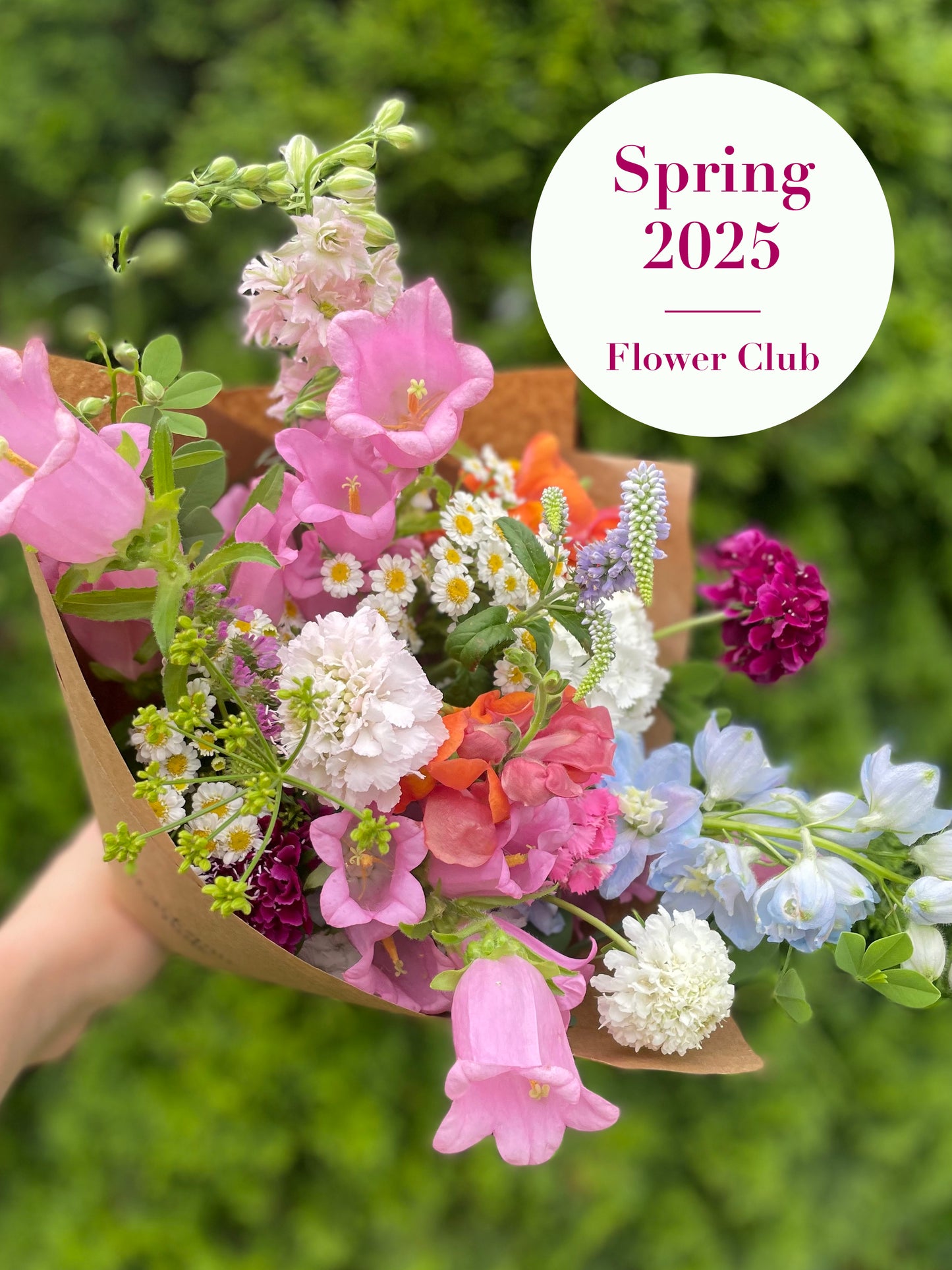 Spring 2025 Local Flower Club (4 Weeks - May/June)